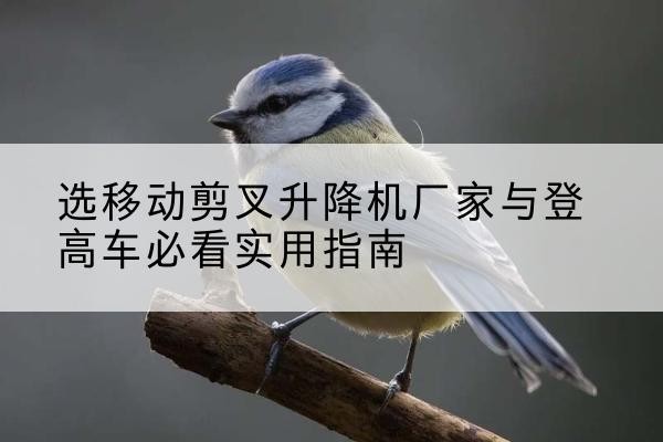 彭泽电动升降机厂家-选移动剪叉升降机厂家与登高车必看实用指南