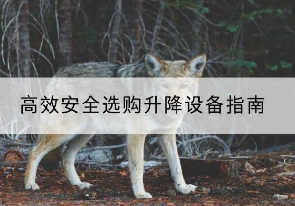 彭泽升降货梯厂家推荐-*安全选购升降设备指南