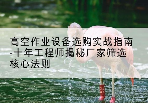 彭泽剪叉式升降机厂家-高空作业设备选购实战指南-十年工程师揭秘厂家筛选核心法则